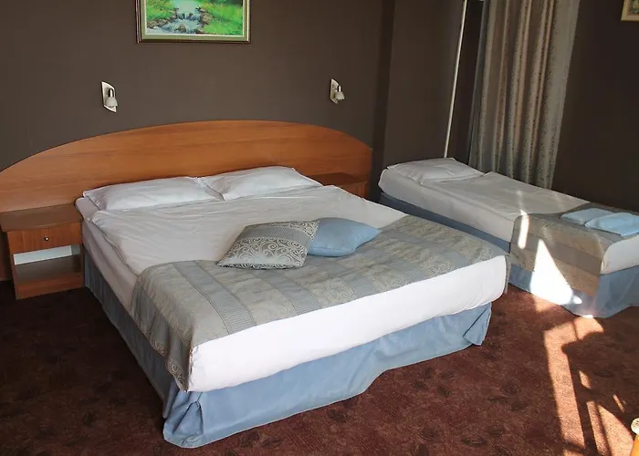 Family Lazuren Briag Hotell 3*